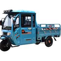 2020 India other tricycles Solar Energy Systems cheap trucks cargo electric rickshaw